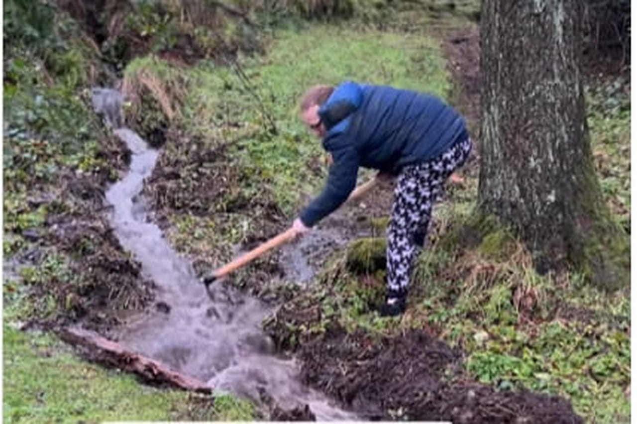 "C'est le jackpot !" Ils achètent une vieille propriété, sont désespérés par...