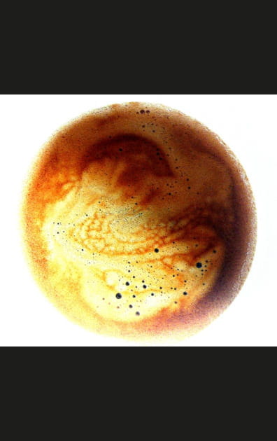 M&eacute;ditation ou pri&egrave;re&nbsp;?