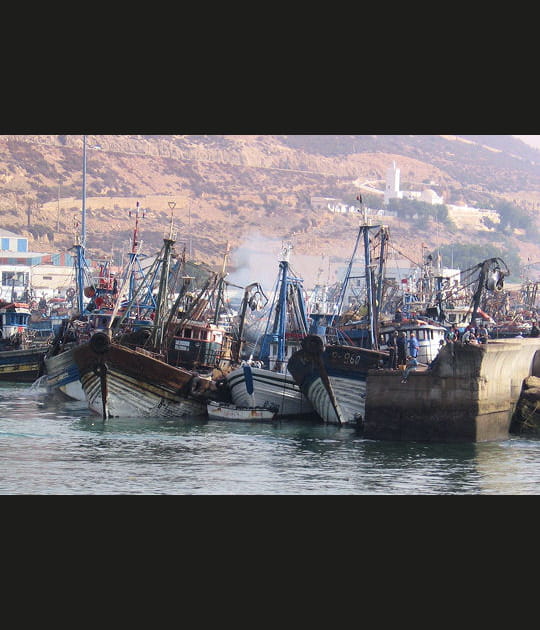 Les sardiniers du Maroc