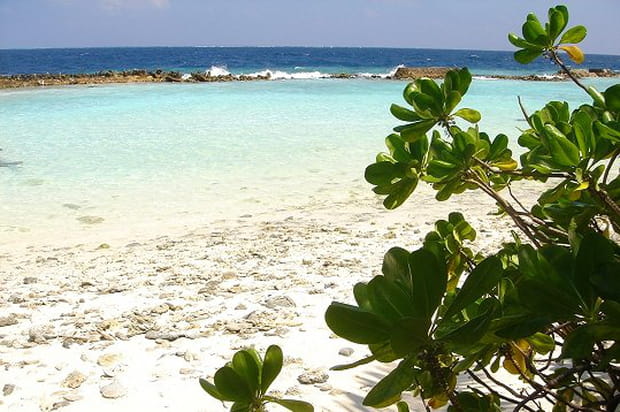 Plage d'Ari atoll