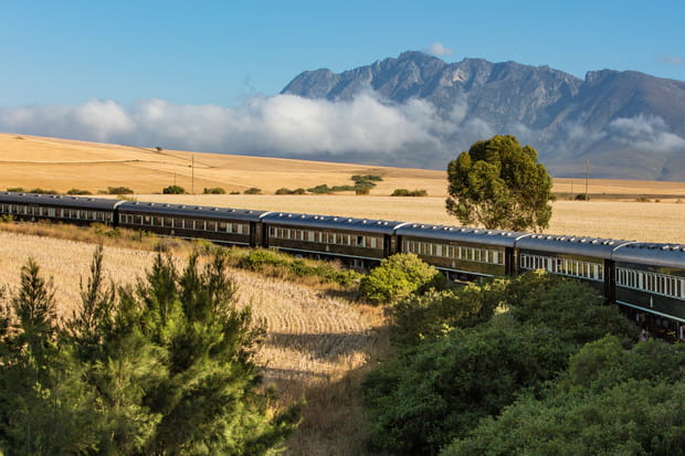 Rovos Rail : l'Afrique australe en train de luxe