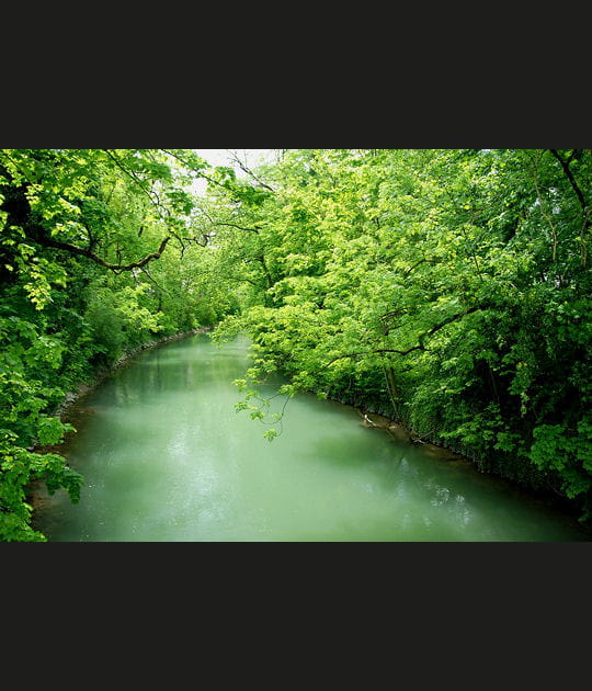 Petit Danube deviendra grand