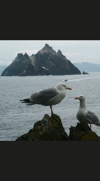 L'&icirc;le monastique de Skellig Mickael en Irlande