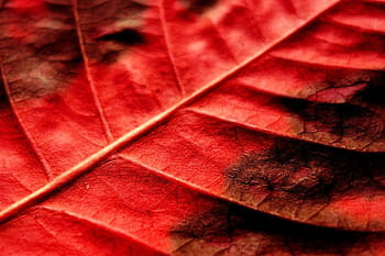 Vos meilleures images d'octobre 2009