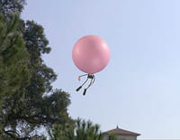 L'homme le plus petit du monde : Bulle de chewing-gum