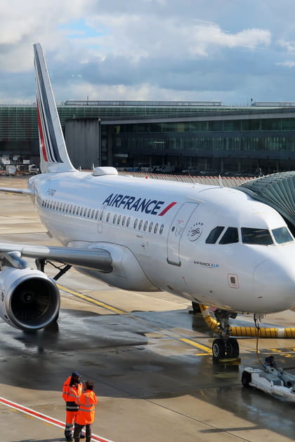 &quot;Prendre l'avion ne co&ucirc;tera pas plus cher&quot;