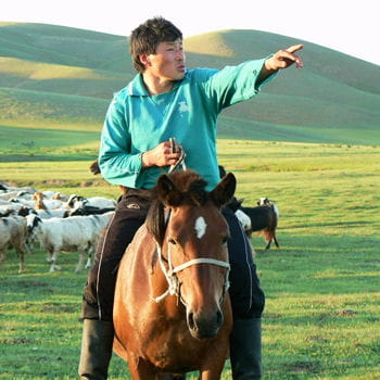 dans les steppes de mongolie