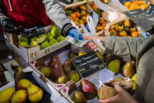 Attention &agrave; l'arnaque aux fruits, une escroquerie printani&egrave;re