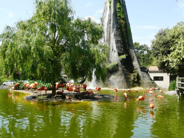 Le zoo de la Palmyre à Royan