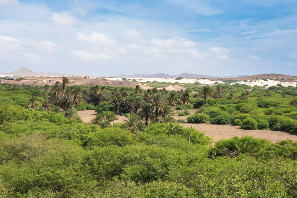 Le d&eacute;sert de Viana, le Sahara du Cap-Vert