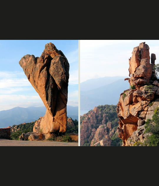 Des formes insolites