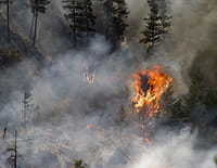 Réparer la nature : Le feu