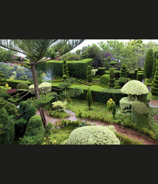 Fa&ccedil;on labyrinthe d'Alice
