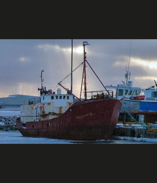 Dans les eaux glac&eacute;es du Canada