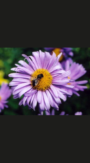 L'agenda Nature du mois de septembre