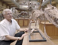La grande histoire de l'évolution animale