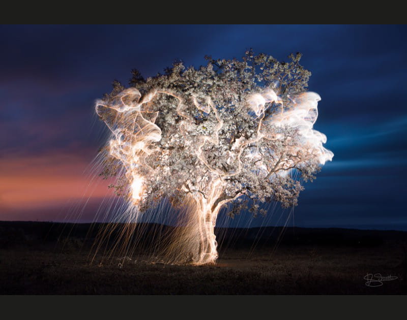 L'Arbre de Vie