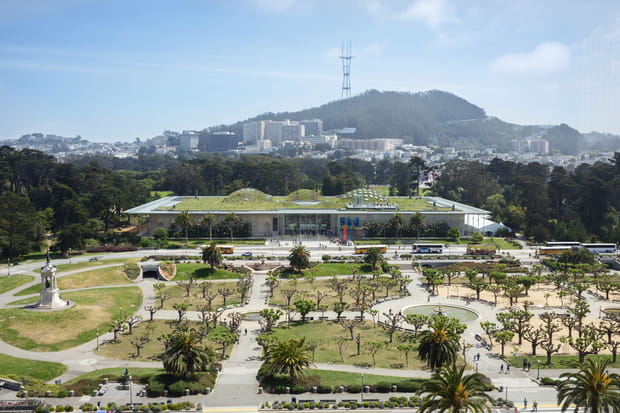 Gardez la tête dans les étoiles à la California Academy of Sciences