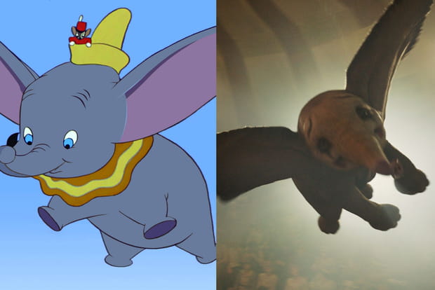Dumbo