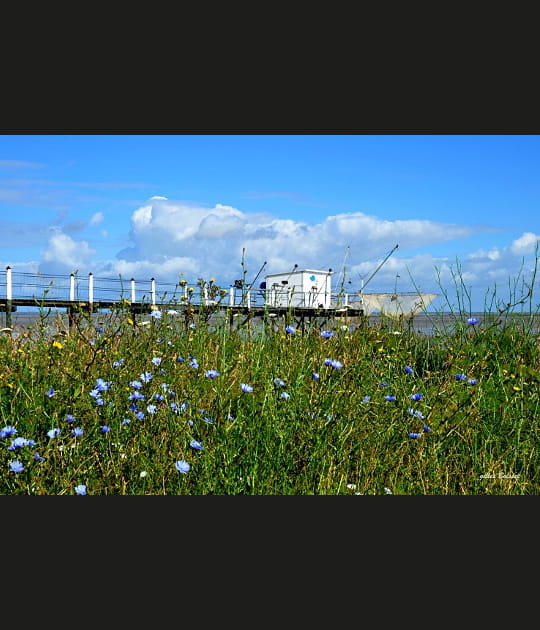 En Charente-Maritime