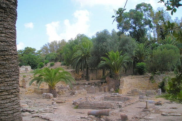 Les ruines de Carthage
