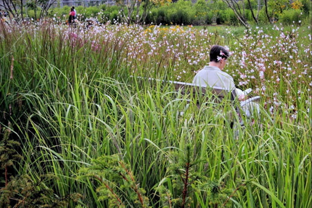 Parc des Batignolles