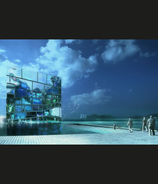 La beaut&eacute; des oc&eacute;ans dans le Water Cube
