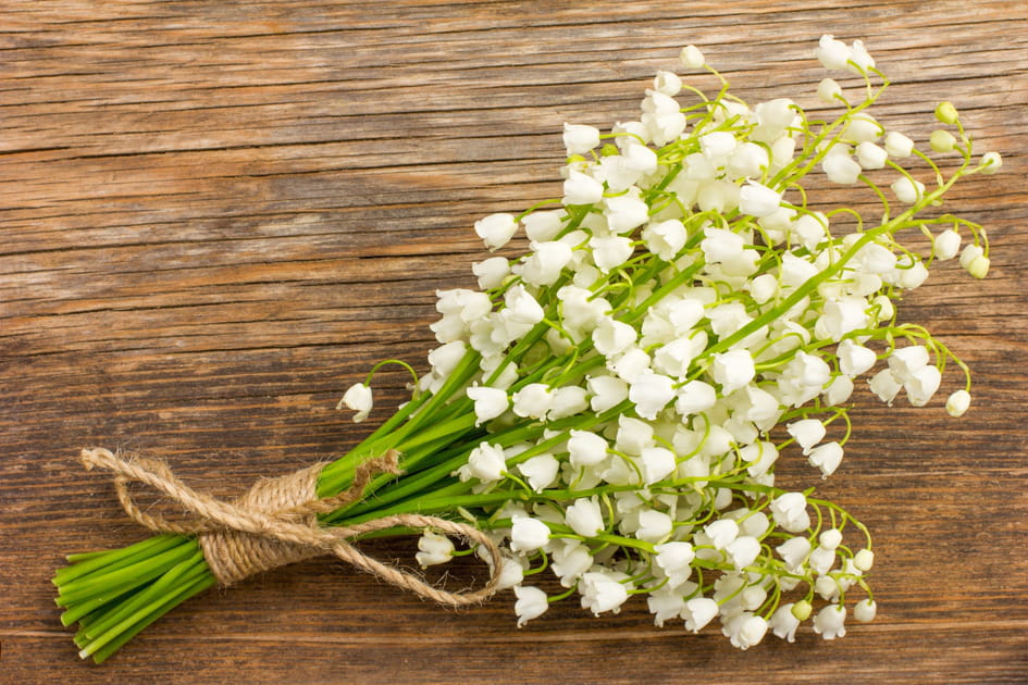 Les plus belles photos de muguet &agrave; envoyer &agrave; vos proches pour le 1er mai