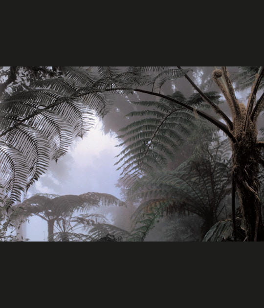 L'&icirc;le de Flores, Indon&eacute;sie