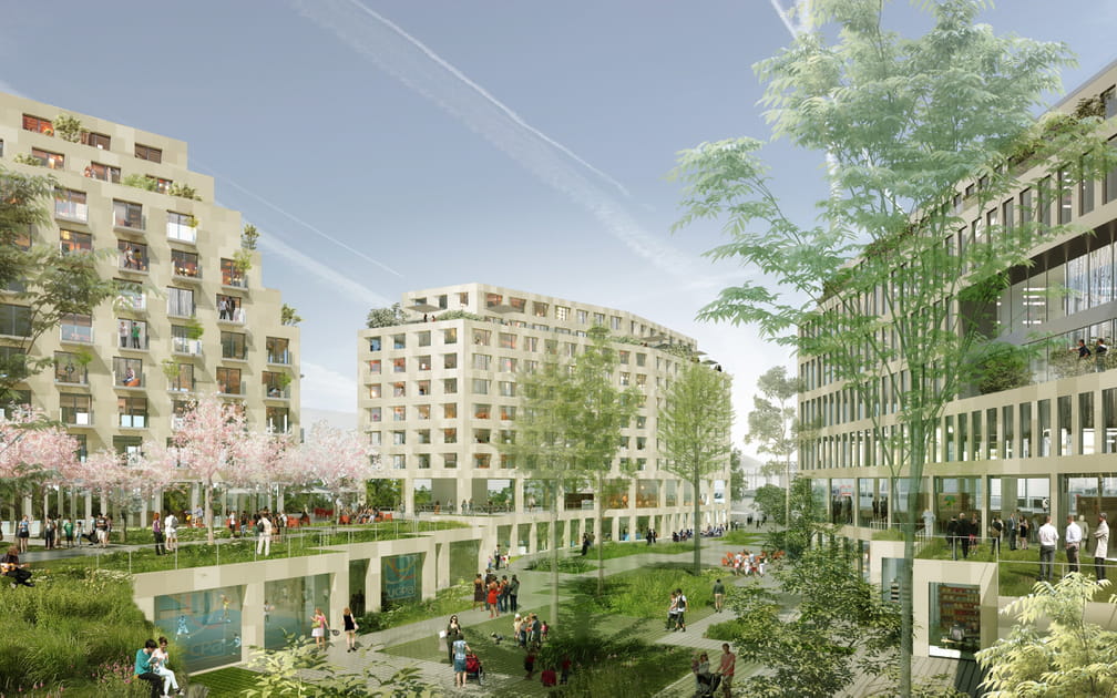 L&rsquo;Ilot fertile (19e)