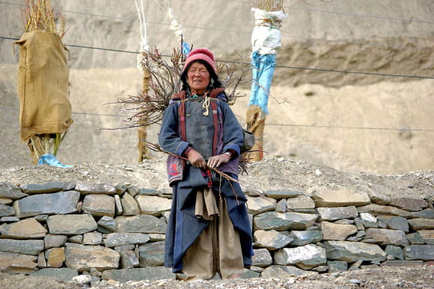Les Ladakhis