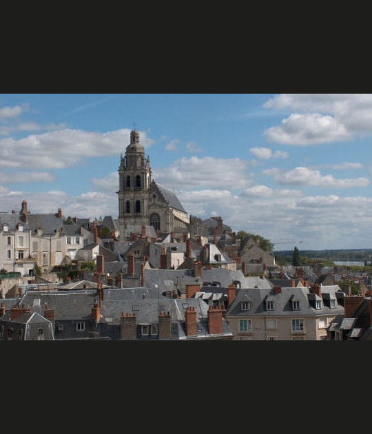 La cath&eacute;drale Saint-Louis