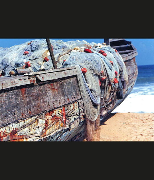 Pirogue