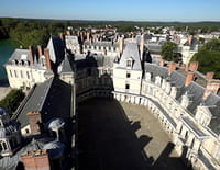 L'ombre d'un doute : Fontainebleau, la demeure des rois