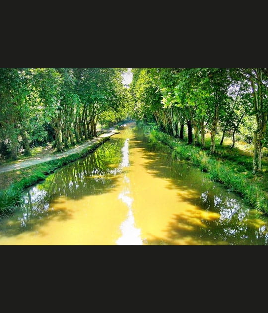 Le Canal du Midi