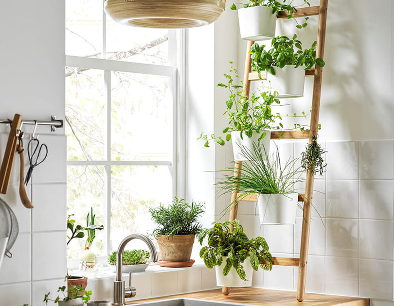 Jardinage urbain