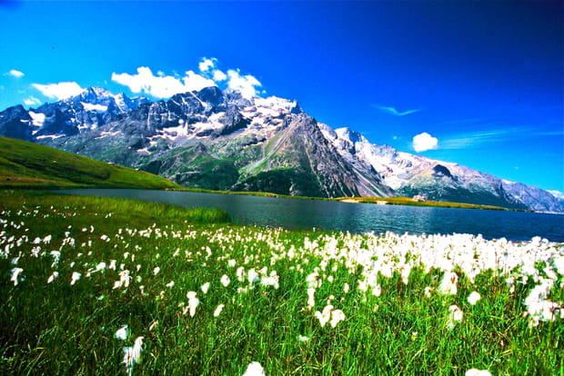 Le parc national des Écrins