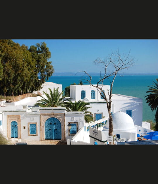 Sidi Bou Sa&iuml;d et le caf&eacute; des d&eacute;lices