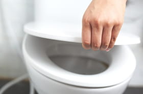 Baisser le couvercle des toilettes ne suffit pas&nbsp;: voici ce qui est vraiment efficace contre les microbes