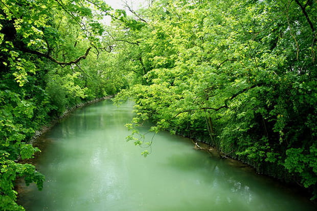 Petit Danube deviendra grand