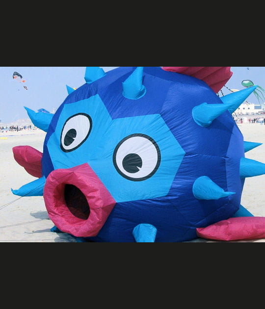 Dr&ocirc;le de poisson