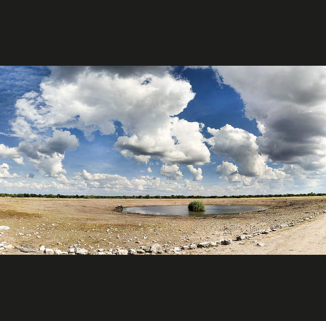 Le pan d&rsquo;Etosha en Namibie