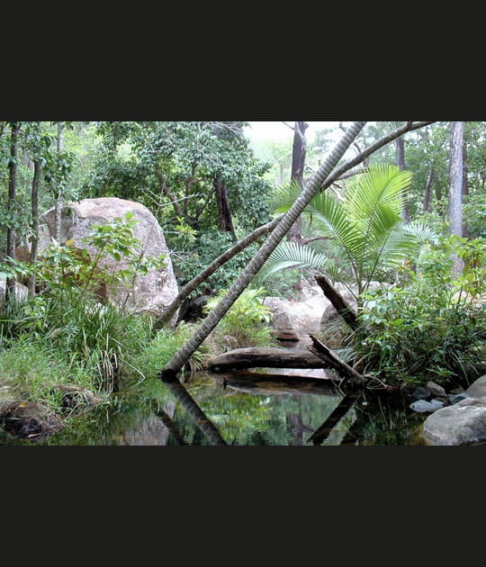 Le parc national de Paluma Range