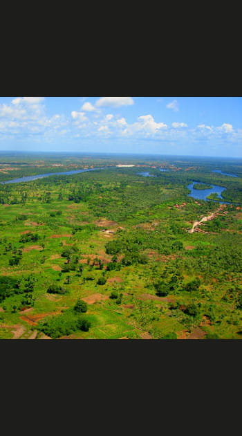 La for&ecirc;t amazonienne, Bolivie, Br&eacute;sil