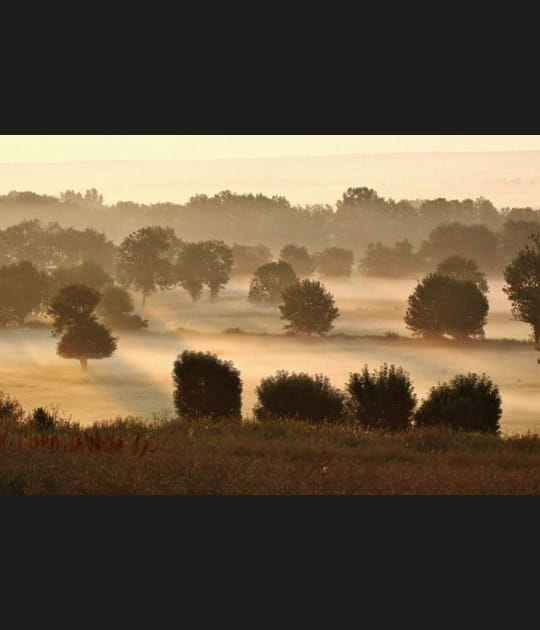 L'image de l'&eacute;t&eacute; 2013