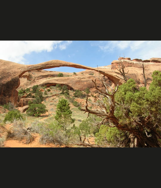 Arches National Park