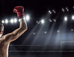 Format Boxe