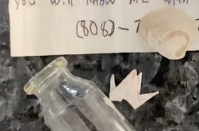 Un enfant trouve un message dans une bouteille, sa m&egrave;re envoie un SMS au num&eacute;ro indiqu&eacute; et n'en revient pas