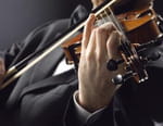 Barenboim sur Beethoven