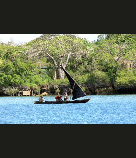 P&ecirc;cheurs et baobab